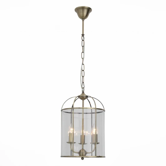 SL267.303.03 Подвесная люстра ST Luce Odierno SL267.303.03