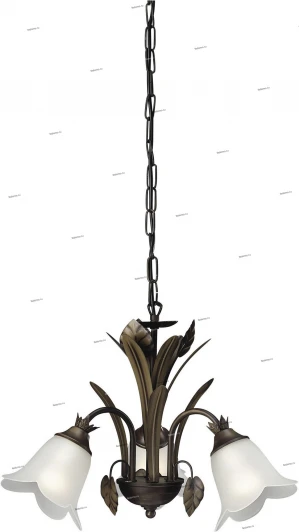 73979-03-43 Massive 73979 73979-03-43