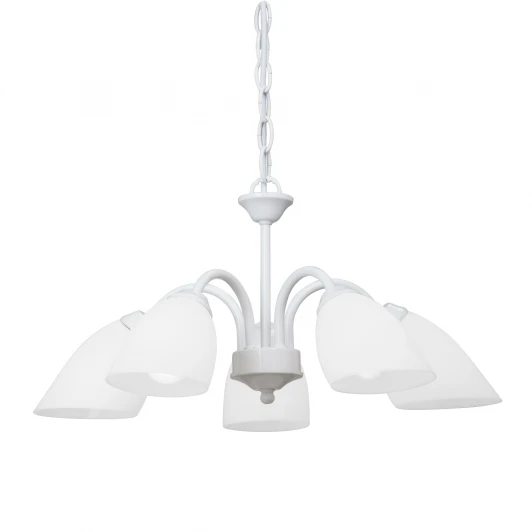 V3336/5 Подвесная люстра Vitaluce V3336/5 (220V, на цепи)