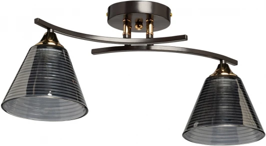 673018902 Потолочная люстра на штанге De City Тетро 673018902 (220V)