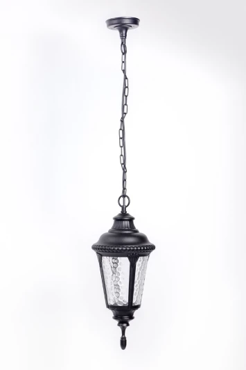 79755S Bl Уличный светильник подвесной Oasis Light 79755S Bl (220V, на цепи, IP44)