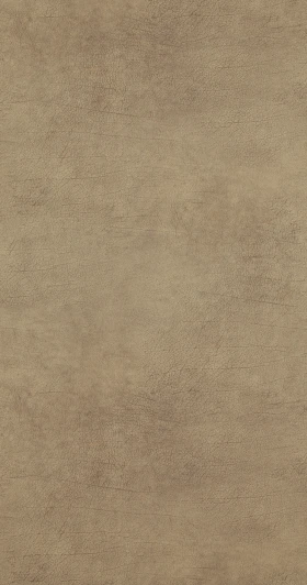 BN 17924 Обои виниловые BN International Curious BN 17924 10,05 x 0,53 м