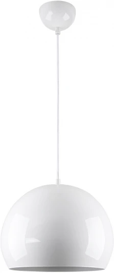 LSP-8921 Подвесной светильник Lussole Gloss LSP-8921 (220V, на проводе, шар)