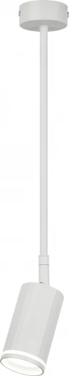 OL43 WH Спот на штанге ЭРА OL43 WH (220V)
