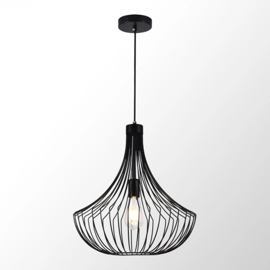 LSP-6025 Подвесной светильник Lussole Refugio LSP-6025 (220V, на проводе)