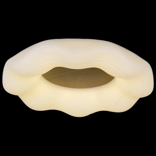 01029-0.3-01 WOOD Потолочный светильник светодиодный с пультом Reluce 01029-0.3-01 WOOD (регулировка яркости, 220V)