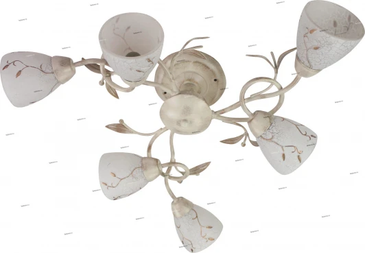 14-116-06C Snowlight 14-116 14-116-06C