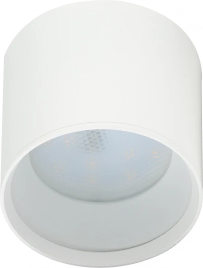 OL8 GX53 WH Точечный светильник ЭРА OL8 GX53 WH (220V)