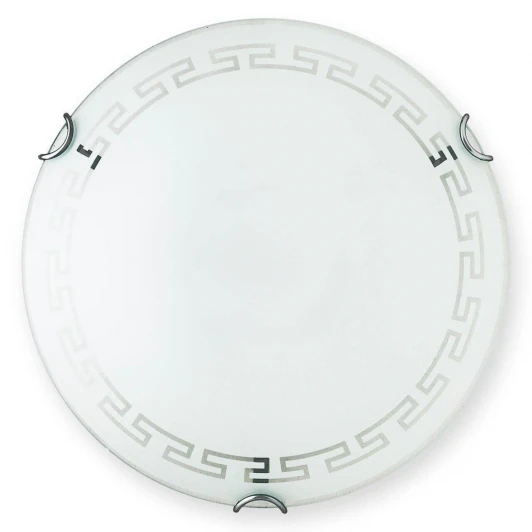 TL9162Y-02WH Настенно-потолочный светильник Toplight Maude TL9162Y-02WH