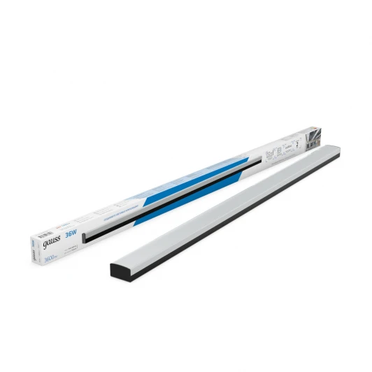 883625336 Настенно-потолочный светильник светодиодный Gauss 883625336