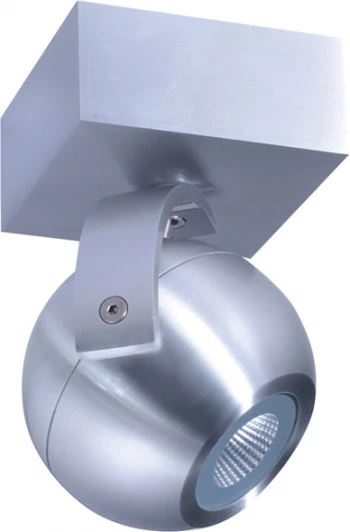 DL18395/11WW-Alu Настенно-потолочный светильник Donolux DL18395 DL18395/11WW-Alu (LED, 220V, шар)