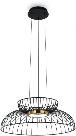 FR5398PL-L6B Подвесной светильник Freya Citrus FR5398PL-L6B (LED, 220V, на тросе)