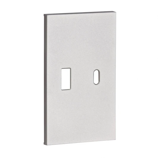 AS12C USB+type С, накладка 2-ух модульная серый матовый Meiton AS12C