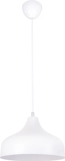 000039513 Подвесной светильник PS1N 000039513