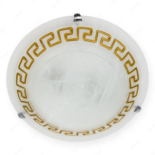 TL9171Y-02BN Настенно-потолочный светильник Toplight Gien TL9171Y-02BN