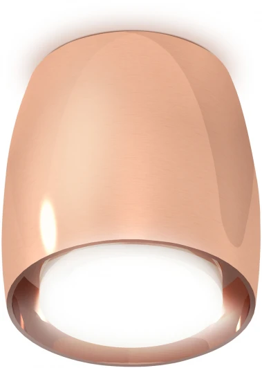 XS1144020 Накладной точечный светильник Ambrella Techno Spot XS1144020 (220V, круглые)