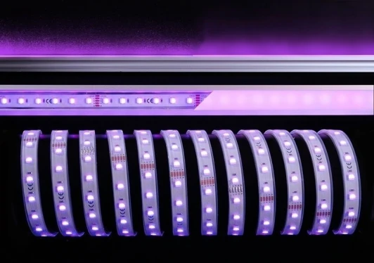 840241 Светодиодная лента Deko-Light SMD5050 840241