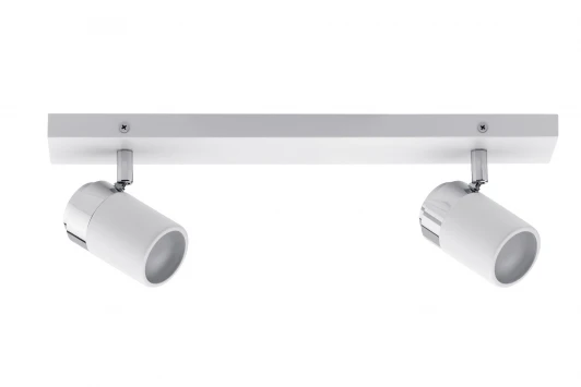 66711 Спот Paulmann Zyli 66711