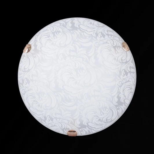 Перья мат (300) НПБ 01-2х60-001 Настенно-потолочный светильник Sneha Перья мат (300) НПБ 01-2х60-001 (220V, круглые)