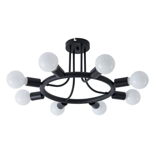 A6063PL-8BK Потолочная люстра Arte Lamp Highgarden A6063PL-8BK