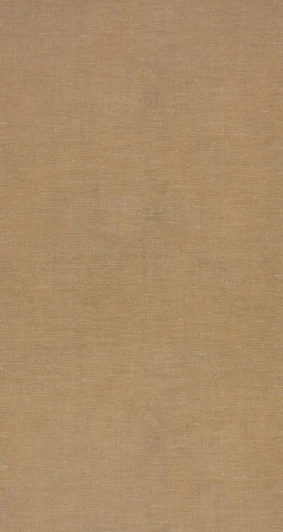 BN 18343 Рулонные обои BN International BN 18343