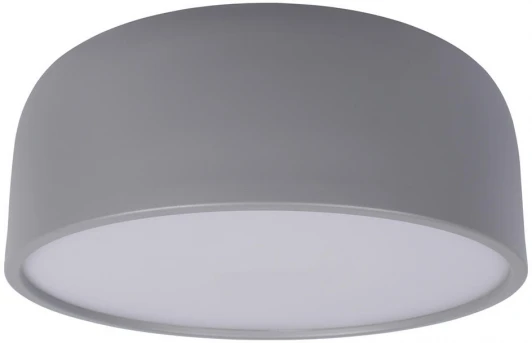 10201/350 Grey Потолочный светильник Axel 10201/350 Grey Loft It