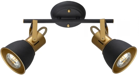 A1677PL-2GO Спот на штанге Arte Lamp Jovi A1677PL-2GO (220V)