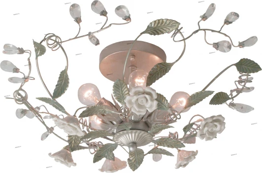 2600934/5C Snowlight 2600934/5C