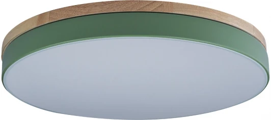 10001/36 Green Потолочный светильник Loft IT Axel 10001/36 Green