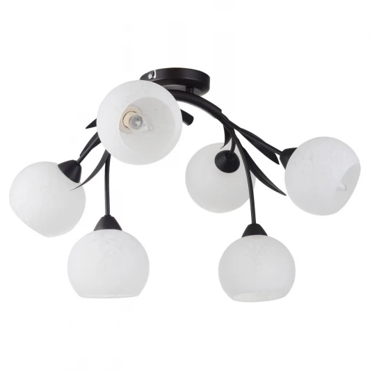 LSF-6283-06 Потолочная люстра Lussole Bagheria LSF-6283-06