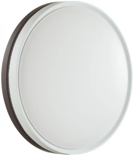 7668/DL Настенно-потолочный светильник Sonex Nohava Brown 7668/DL пластик/белый/темно-коричневый LED 48Вт 4000К D415 IP43 (220V, круглые)