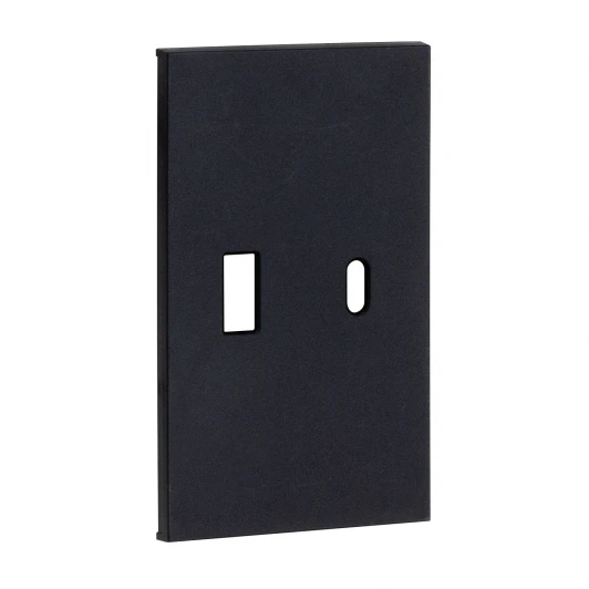 AG12C Usb+type С, накладка 2-ух модульная черный матовый Meiton AG12C