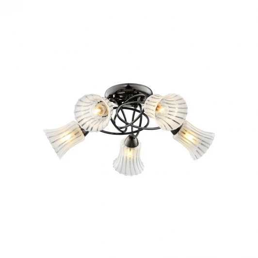 246/5PF-Blackwhite Потолочная люстра IDLamp Zhinevra 246/5PF-Blackwhite