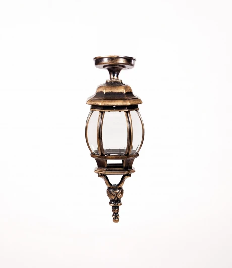 83405SA Gb Потолочный светильник уличный Oasis Light AMERICA S 83405SA Gb (220V, фонарь, IP44)