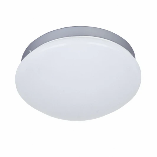 2467-1C Потолочный светильник F-Promo Ledante 2467-1C