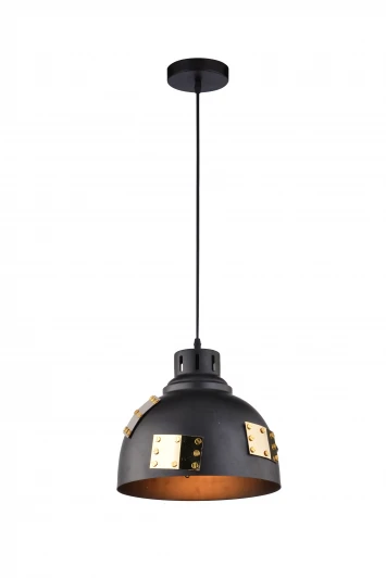 A6024SP-1BK Подвесной светильник Arte Lamp Eurica A6024SP-1BK