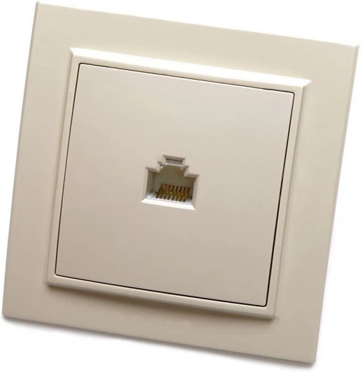 39233 Розетка Ethernet RJ-45 (слоновая кость) Stekker Эрна 39233