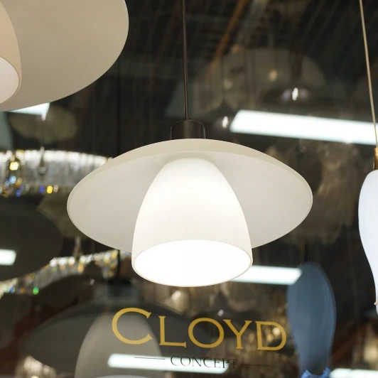 11408 Подвесной светильник Cloyd Erlebnis 11408 (220V, на проводе)