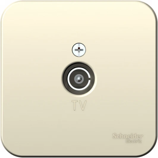 BLNTA000012 ТВ-розетка накладная оконечная (молочный) Systeme Electric Blanca BLNTA000012