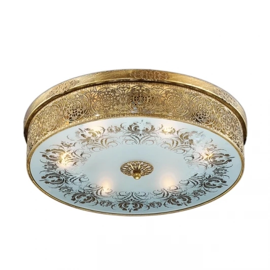 2782/6C Потолочный светильник Odeon Light Aster 2782/6C