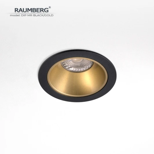 DipMRBk/Gd Встраиваемый светильник Raumberg DIP MR Black/Gold