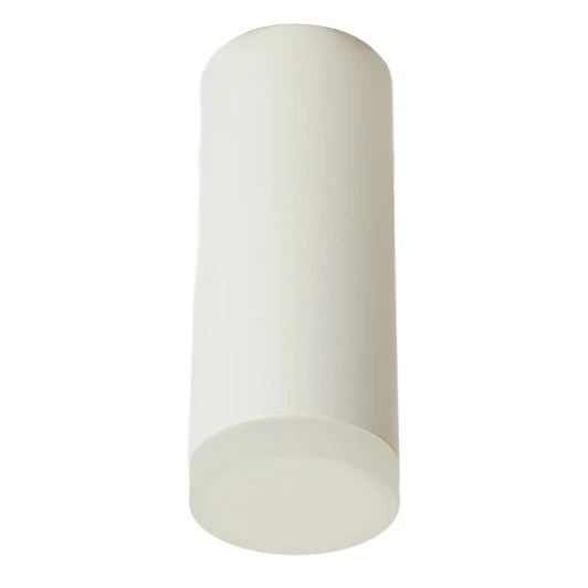 51389 Светильник потолочный накладной Feron ML102 51389