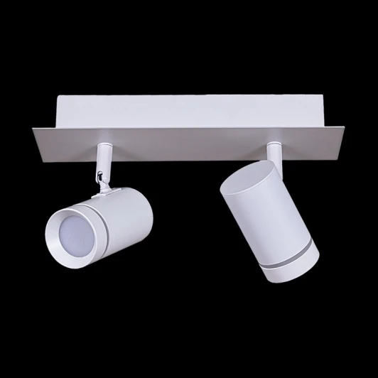 84281-9.5-002RT LED2*5W WT Встраиваемый спот светодиодный Reluce 84281-9.5-002RT LED2*5W WT (220V)