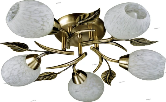 038/5PL Myone 038 038/5PL