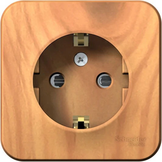 BLNRA011115 Розетка накладная с заземлением и шторками (ясень) Systeme Electric Blanca BLNRA011115