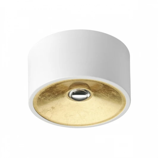 3892/1C Накладной точечный светильник Odeon Light Glasgow 3892/1C