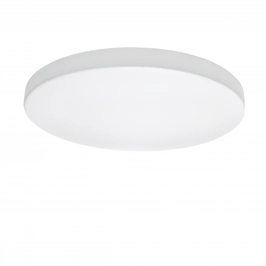 225262 Потолочный светильник круглый Lightstar Arco 225262 (LED, 220V, IP44)