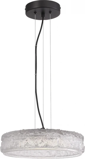 SL6143.403.01 Подвесной светильник ST Luce Antike SL6143.403.01 черный/прозрачный LED 1*15W 4000K (220V, на тросе, круглые)