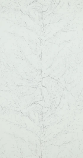 BN 17163 Рулонные обои Van Gogh 17163