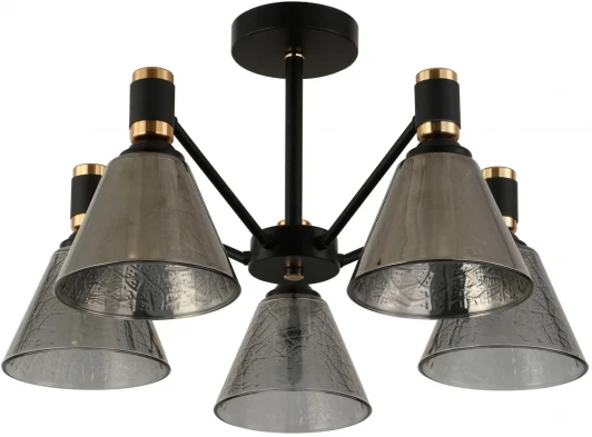 635011205 Потолочная люстра на штанге De City Дэла 635011205 (220V)